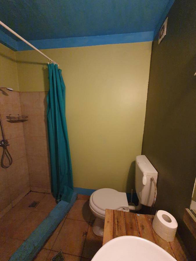 Zen Hostel Клуж-Напока Екстериор снимка