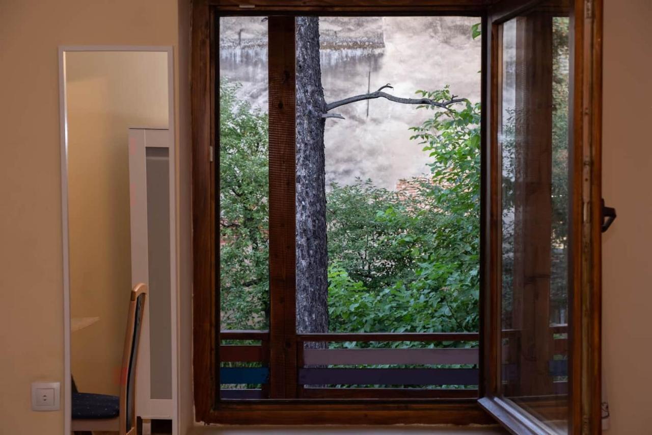 Zen Hostel Клуж-Напока Екстериор снимка