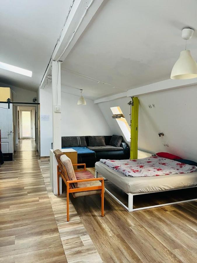Zen Hostel Клуж-Напока Екстериор снимка