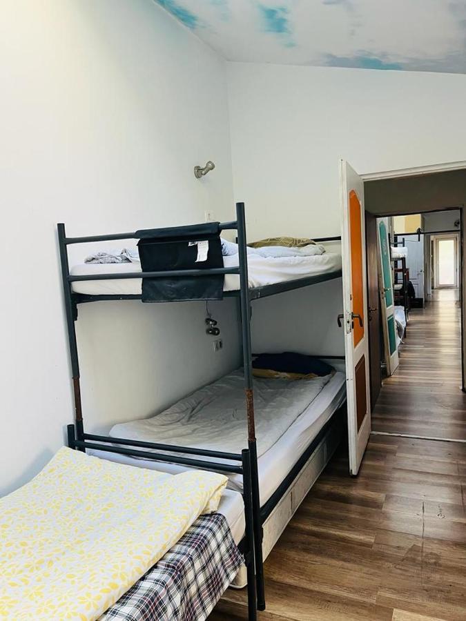 Zen Hostel Клуж-Напока Екстериор снимка